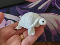 0.16mm layer, 2 walls, 15% infill