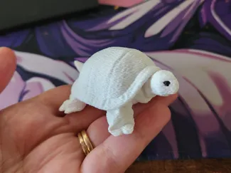 Towel Animal Turtle