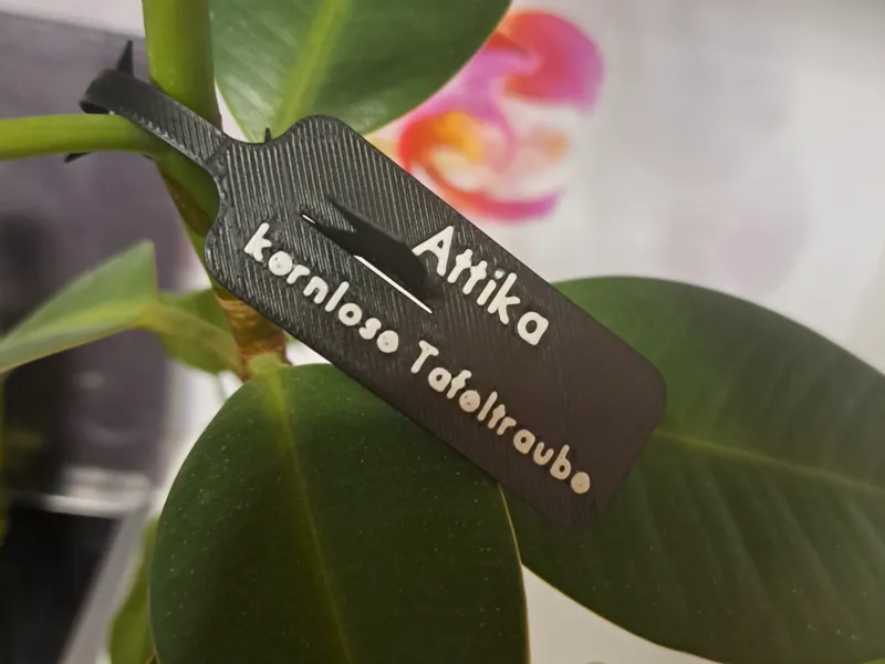Pflanzenschilder mit Clip individuell beschriftbar