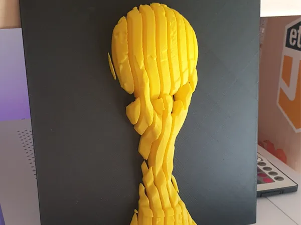 https://makerworld.bblmw.com/makerworld/model/USd4d376e0f1d2a5/design/2025-03-08_271f1018334fd.jpg