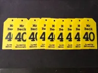 0.16mm layer, 2 walls, 15% infill