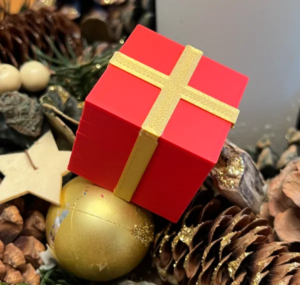 https://makerworld.bblmw.com/makerworld/model/USd4d526f17b268d/design/2024-12-02_c397a3d7f5286.jpeg