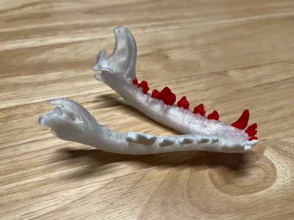 https://makerworld.bblmw.com/makerworld/model/USd4da01ddd77030/design/2a4c56630ab9b580.jpg