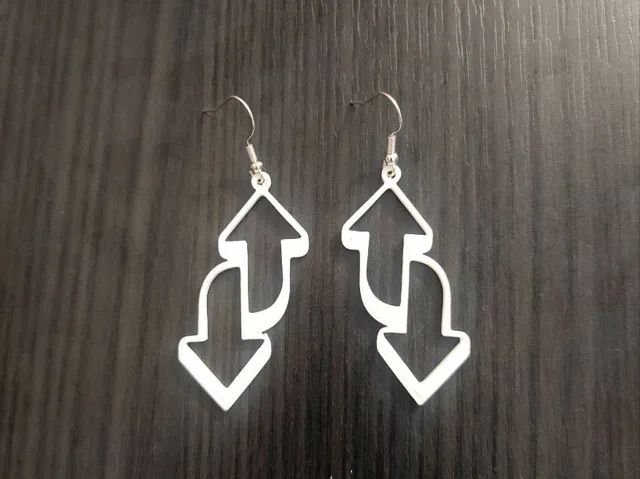 Switch Motion - Earrings