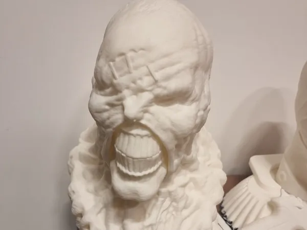 https://makerworld.bblmw.com/makerworld/model/USd4de3bb4171302/design/2024-09-24_b51bd8970cf7f.jpeg