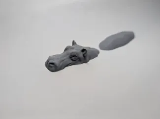 Floating hippo