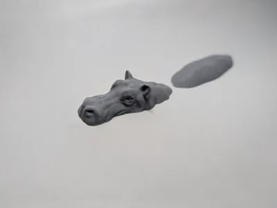 Floating hippo