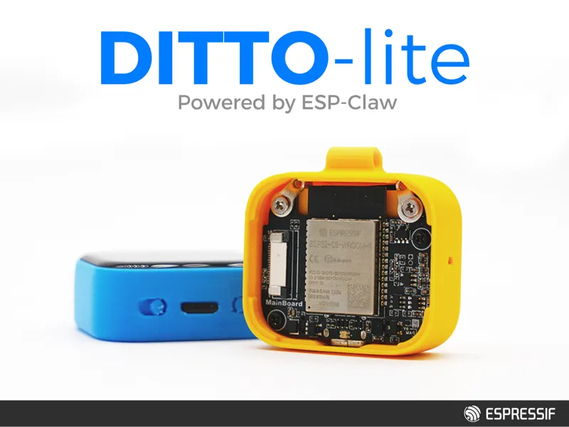 ESP-Ditto