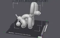 Chien ballon qui fait caca — photo 1