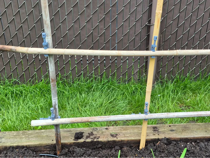 Adjustable Bambu Stake Clamp