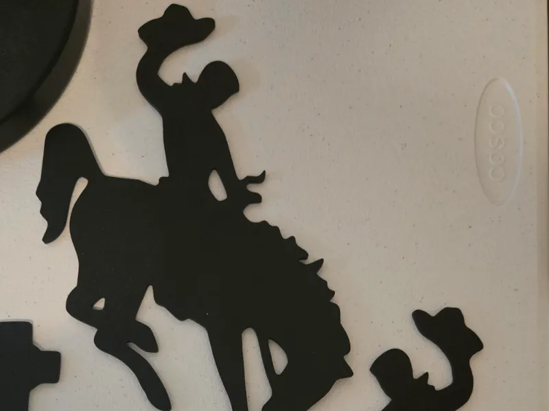 Cowboy Rider Silhouette