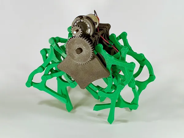 Easy Beest, Strandbeest simplifié