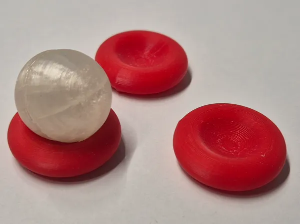 https://makerworld.bblmw.com/makerworld/model/USd5044cb72245bb/design/2025-04-17_cba61e1fb138a.jpg