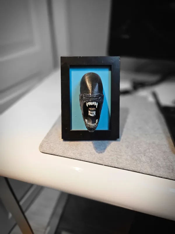 https://makerworld.bblmw.com/makerworld/model/USd51242f43b693b/design/2024-02-25_fba7b26f0abb4.jpg