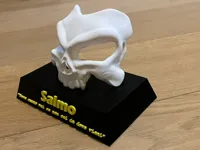 0.2mm layer, 2 walls, 15% infill