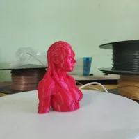 0.1mm layer, 2 walls, 15% infill