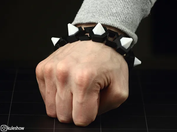 https://makerworld.bblmw.com/makerworld/model/USd5196d91fdfb1b/design/2025-05-13_2697b9b497fdd8.jpg