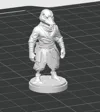 0.16mm layer, 2 walls, 15% infill