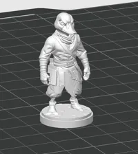 0.16mm layer, 2 walls, 15% infill