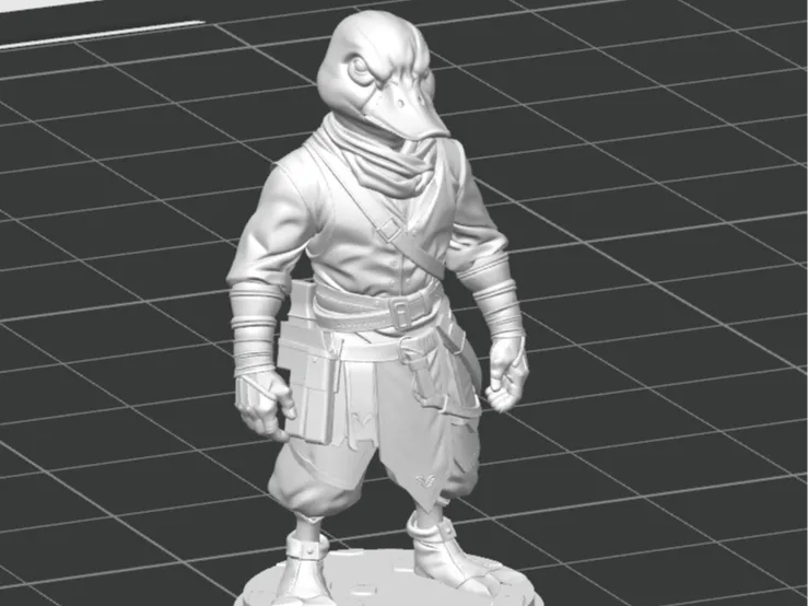 Mallard Merchant