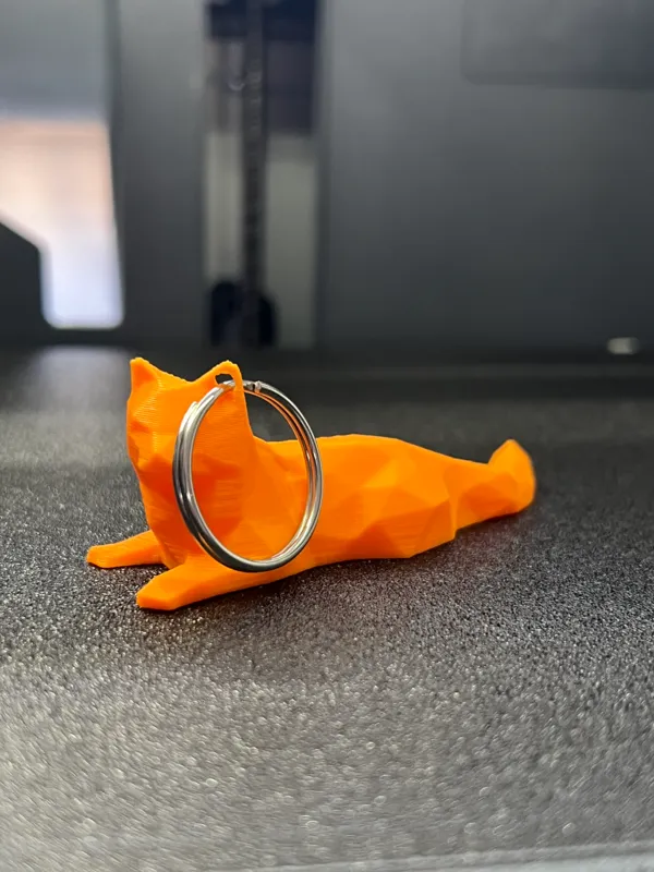 https://makerworld.bblmw.com/makerworld/model/USd51c8c8849a49d/design/2023-12-13_d8b1582934a3e.jpg