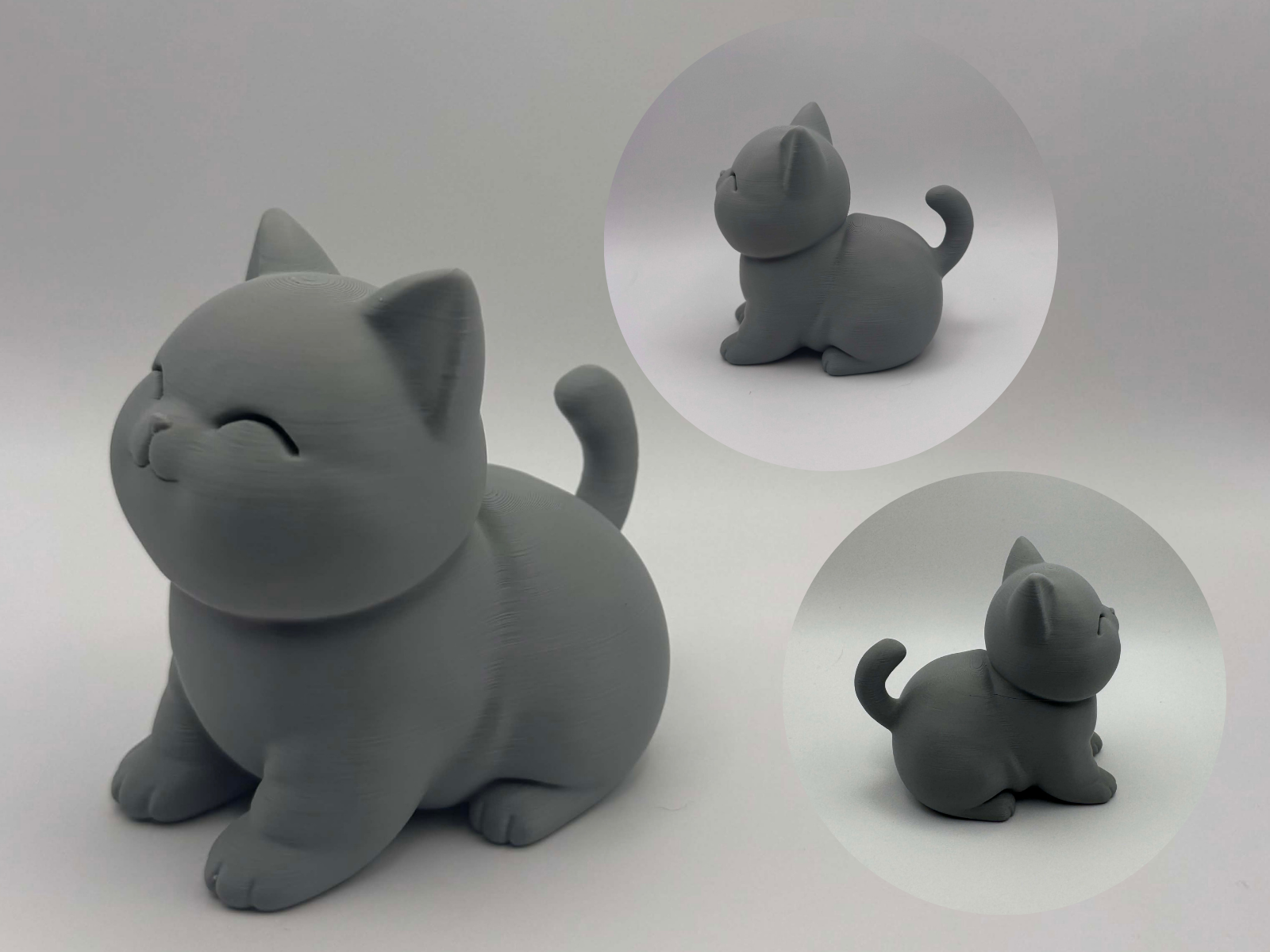 Smiley Sitting Cat – cute calm kitty