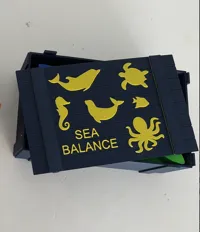 Box for the game