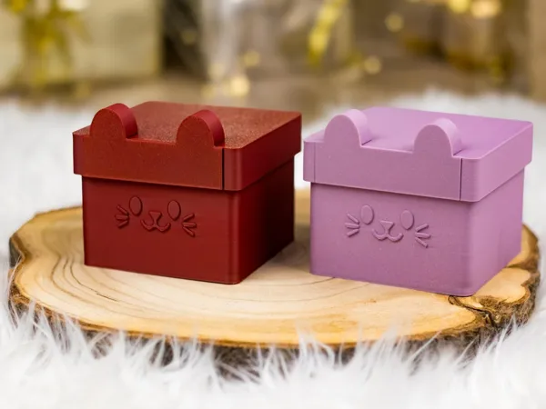 https://makerworld.bblmw.com/makerworld/model/USd52af70456751e/design/2025-11-26_96c333a5ca3bb.jpg