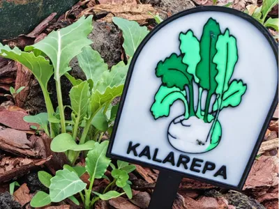 Plants label - KALAREPA (PL) [KOHLRABI]