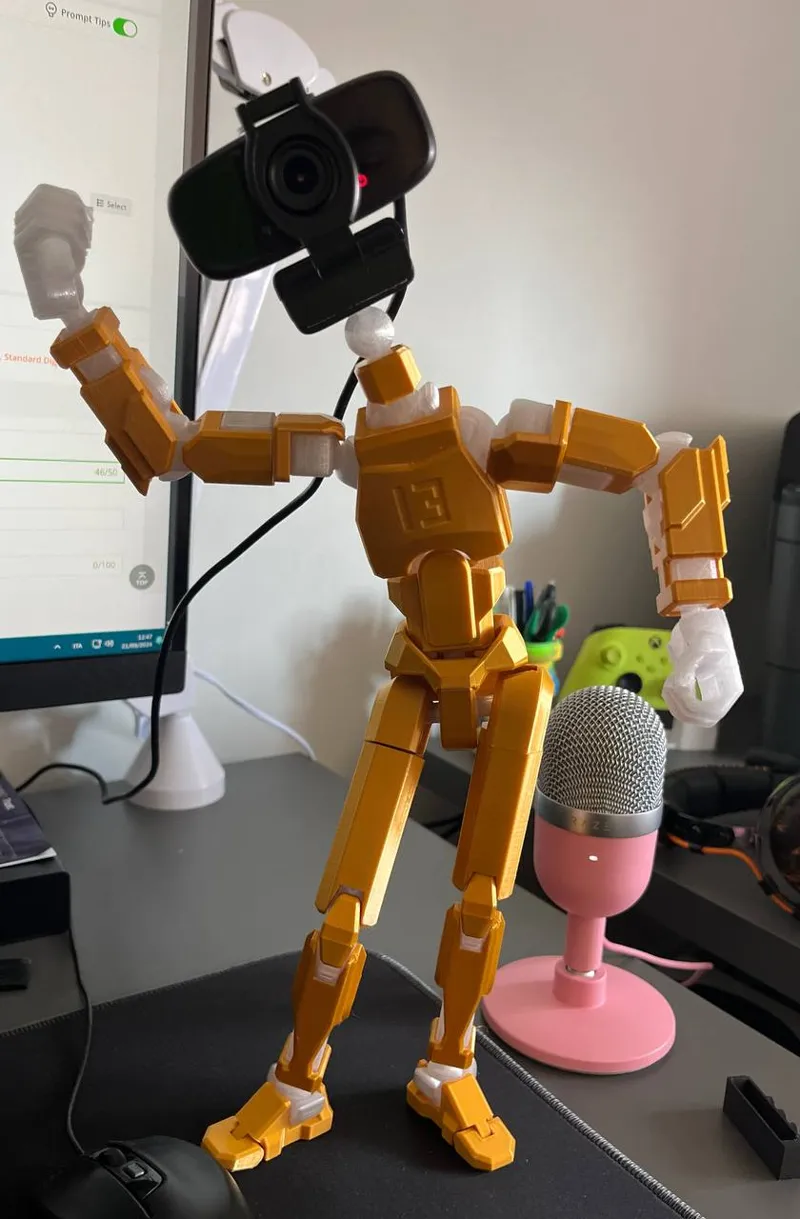 Dummy 13 Version 1.0, 256% scaled, webcam neck