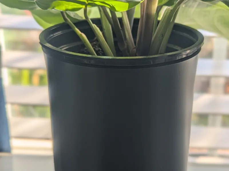 Wick & Grow Planter - Simple