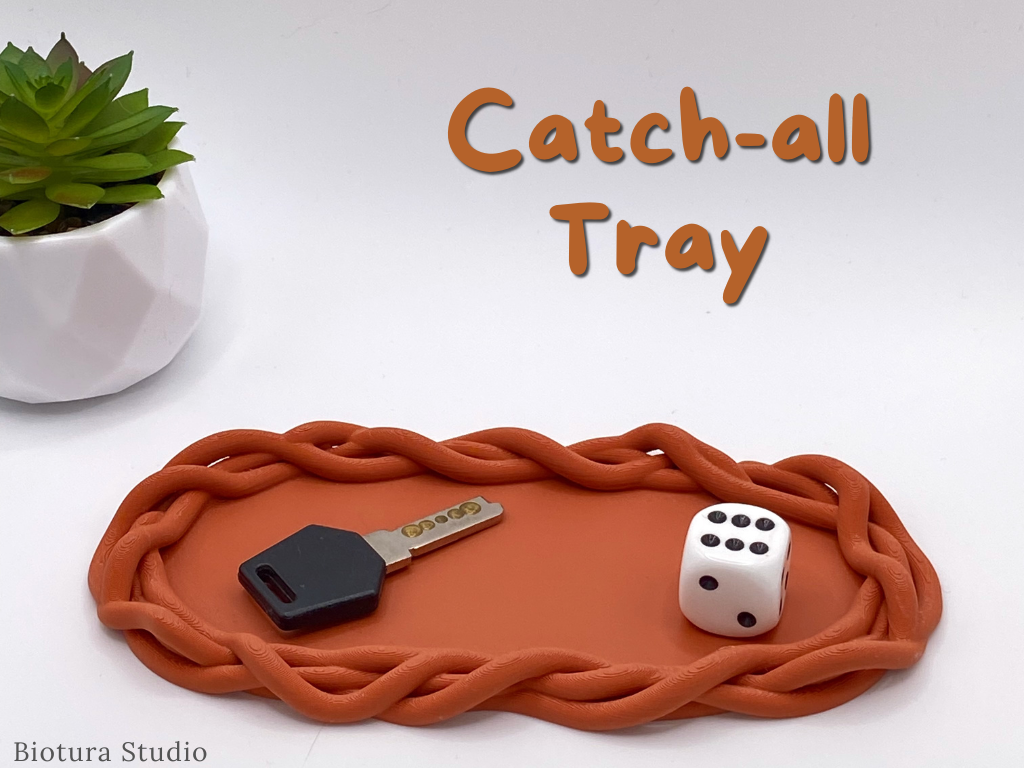 MODERN BRAIDED CATCH-ALL TRAY - Organic Series
