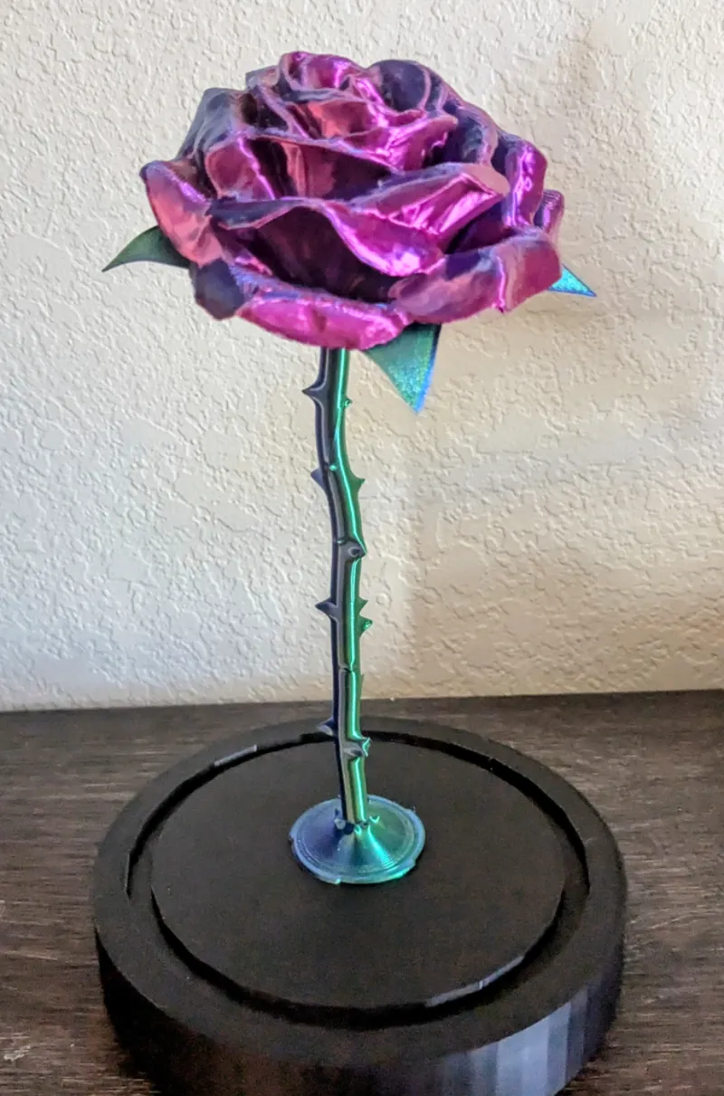 Rose Display 