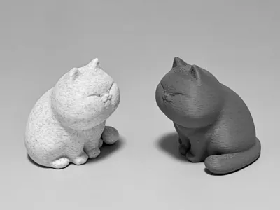 A Shiba-like kitten