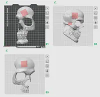 Print for A1 mini