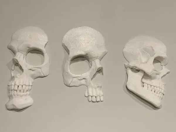 https://makerworld.bblmw.com/makerworld/model/USd53c81f9f73558/design/2026-01-14_78a829776e9fa8.jpg