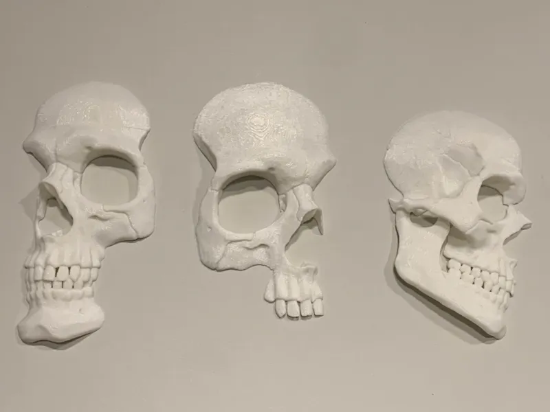Skull Wall Decor - Detailed