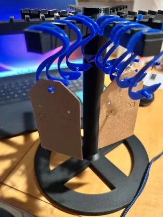 Earring Clips