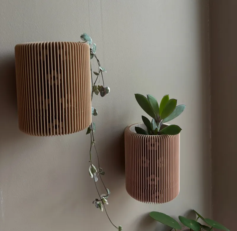 Wall Planter Flowers