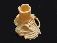 0.2mm 层高, 2 层墙, 10% 填充