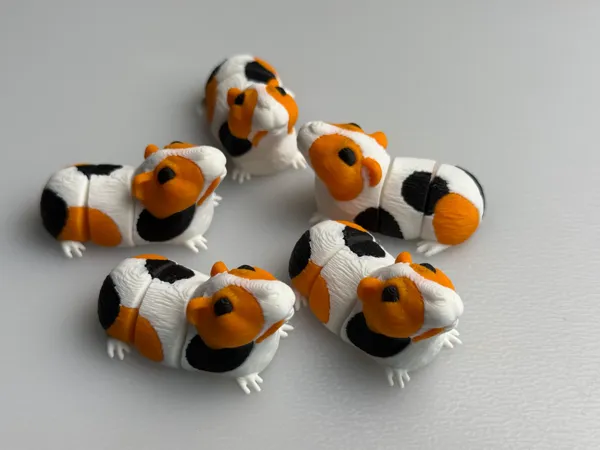 https://makerworld.bblmw.com/makerworld/model/USd549508a096f5e/design/2025-06-27_b6166bac7f05e8.jpg