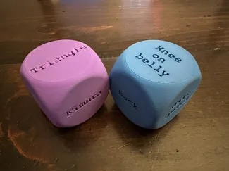 Jiu Jitsu dice