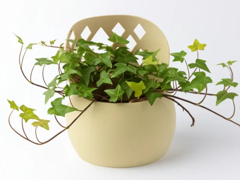 Plant Pot with Decorative and Functional Cover