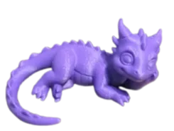 Baby Drachen