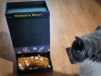 Pet feeder