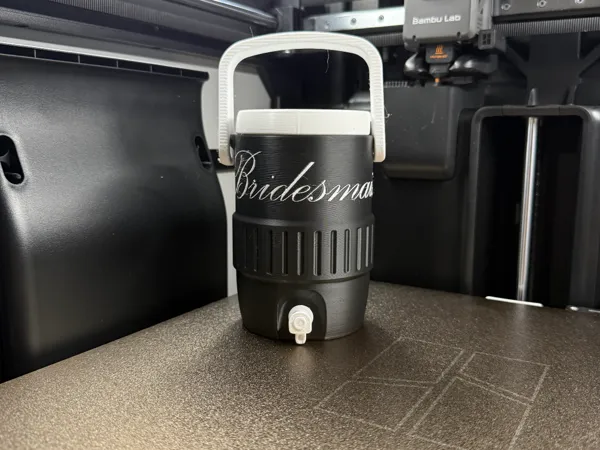 https://makerworld.bblmw.com/makerworld/model/USd554a2644e0229/design/88c69b93f10c3ca7.jpg