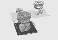 3 size 0.12mm layer, 2 walls, 5% infill