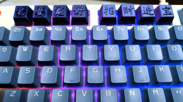 https://makerworld.bblmw.com/makerworld/model/USd55565d0567523/design/2024-02-03_69fce27651cef.jpg