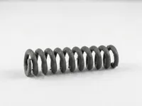 front spring