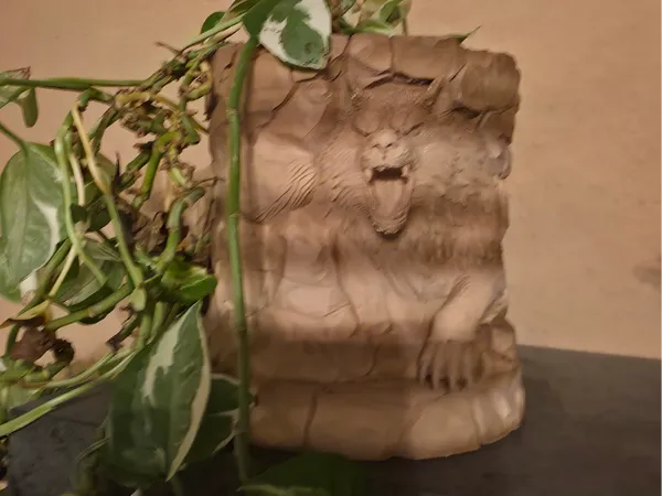 https://makerworld.bblmw.com/makerworld/model/USd55a61eb7e9ddd/design/5f5d2aff8149fdcb.jpg